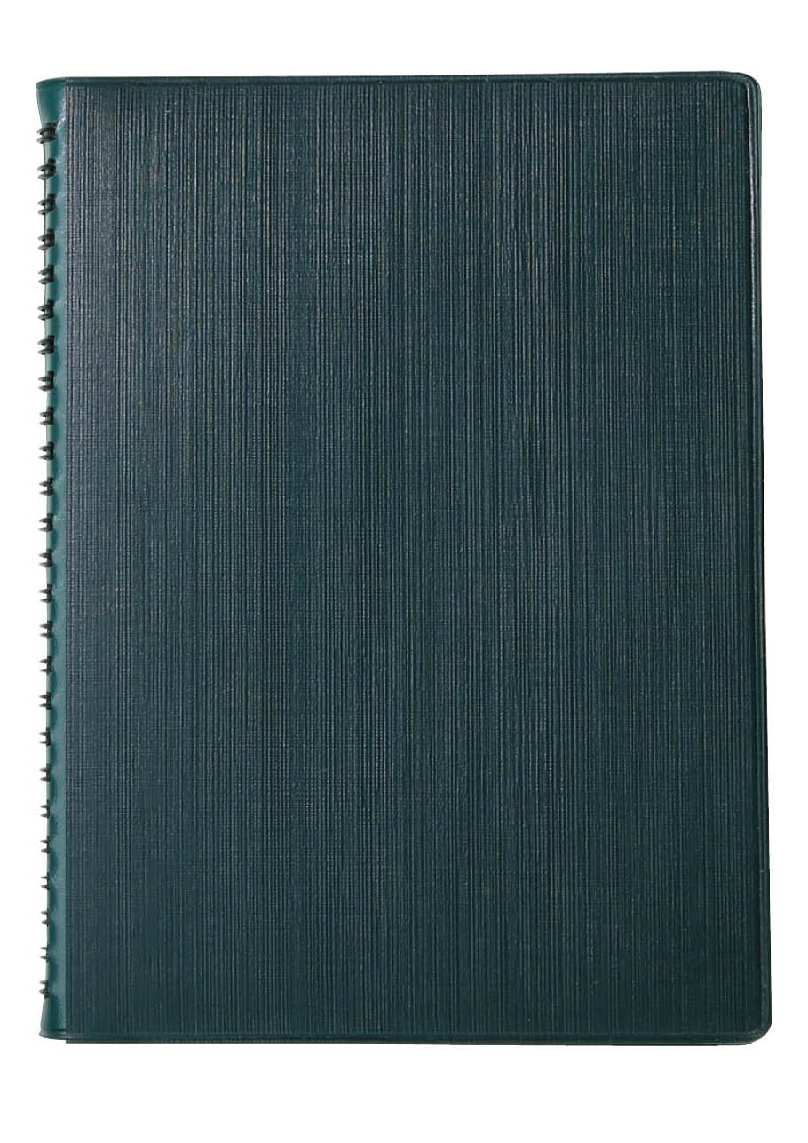 디에스(타공식)[25절] 스프링 _ 그린