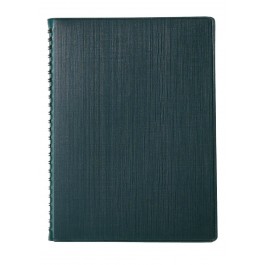 디에스(타공식)[25절] 스프링 _ 그린