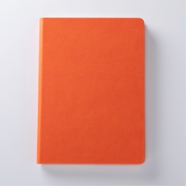 데이지 [32절]양장_오렌지